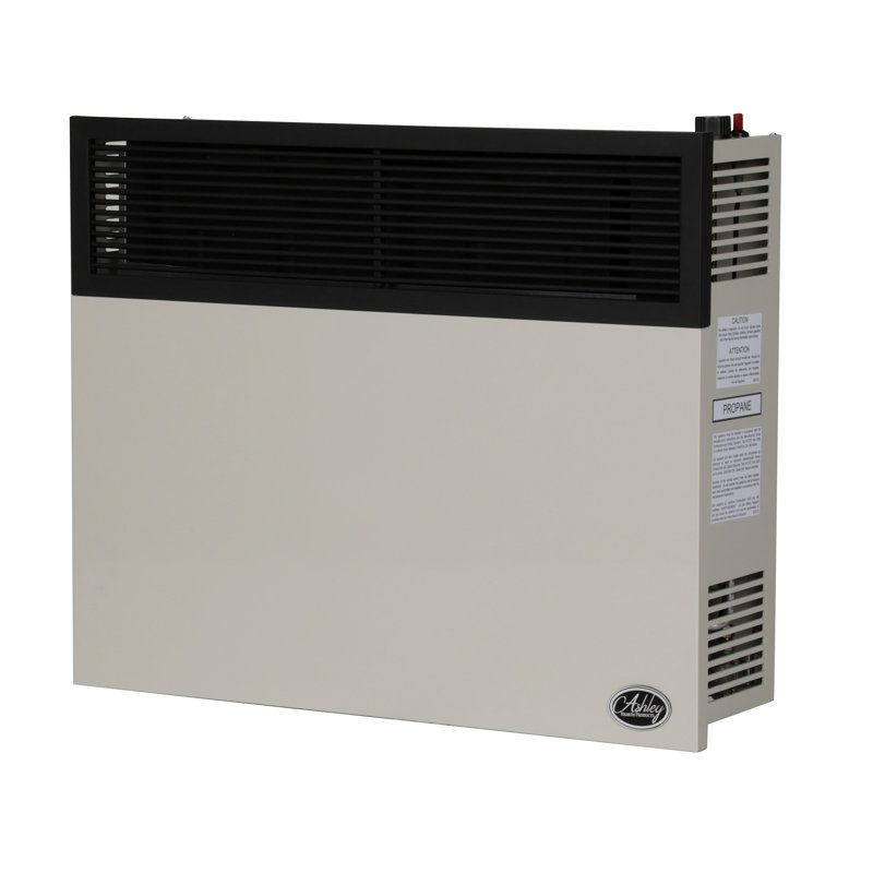 Ashley Hearth 25,000 BTU Direct Vent Convection Wall Mounted Heater